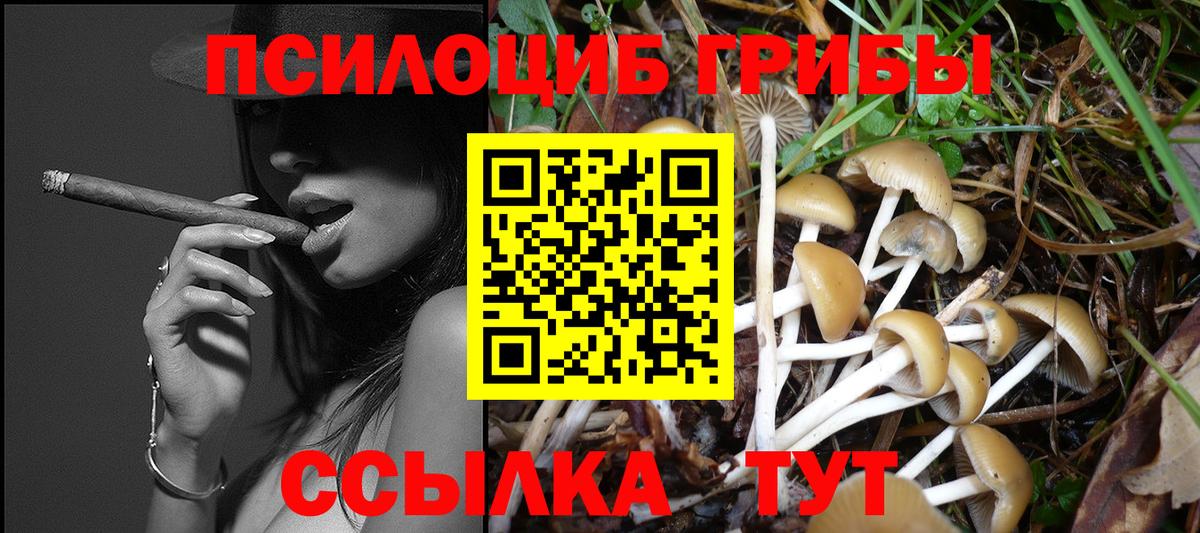 Галлюциногенные грибы мицелий Добрянка