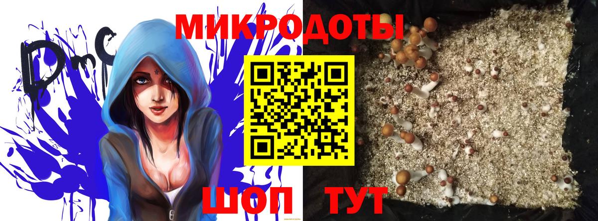 Галлюциногенные грибы Psilocybine cubensis  Вход с VPN  Добрянка  Псилоцибиновые грибы мухоморы 