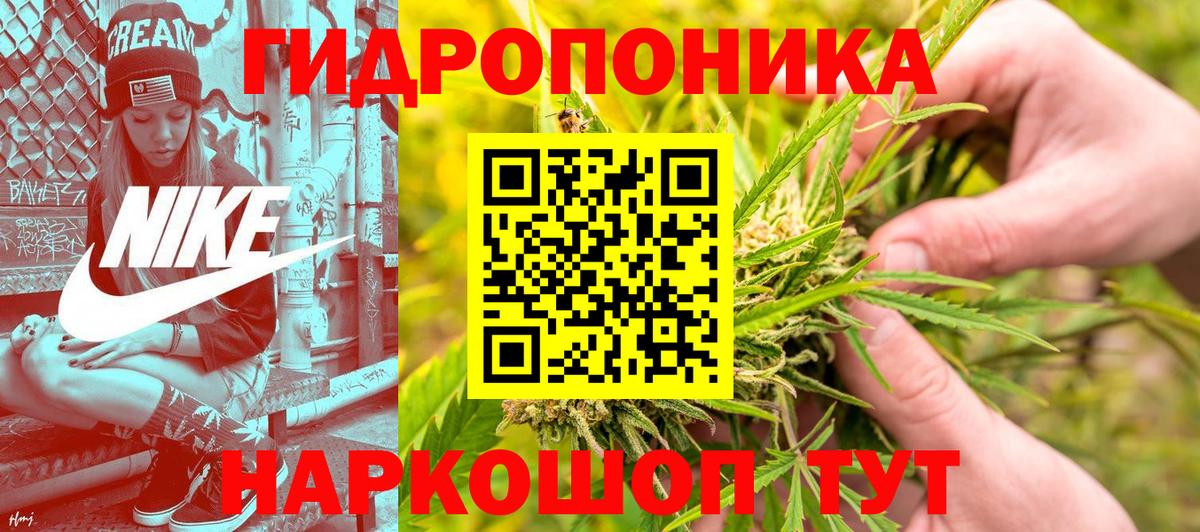 Бошки Шишки конопля Добрянка